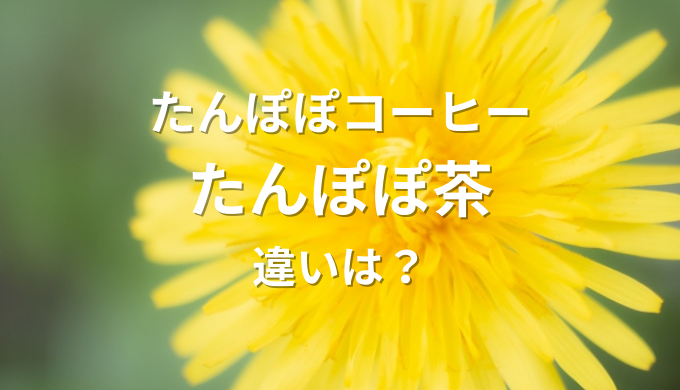 たんぽぽコーヒーとたんぽぽ茶：違いとそれぞれの魅力に迫る！ | blog