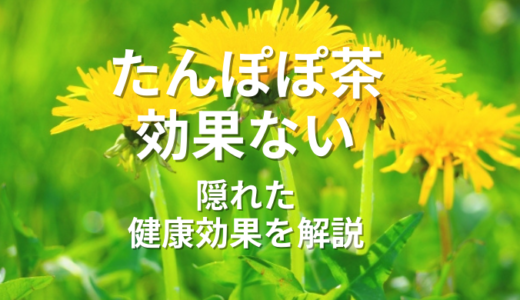 たんぽぽ茶効果ない？リアルな口コミと驚くべき隠れた健康効果を解説