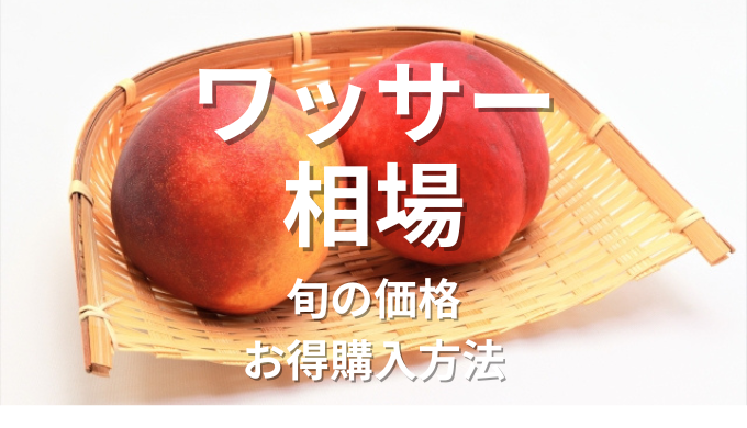 ワッサーの相場を徹底解説！旬の価格とお得な購入方法 | blog