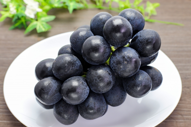 ナガノパープル