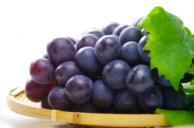 ナガノパープル