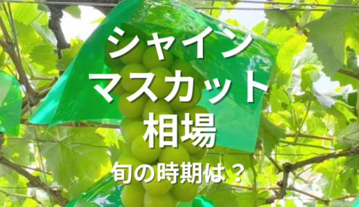 シャインマスカット 相場 2024を徹底解説！旬の時期に狙うべき価格帯とは？