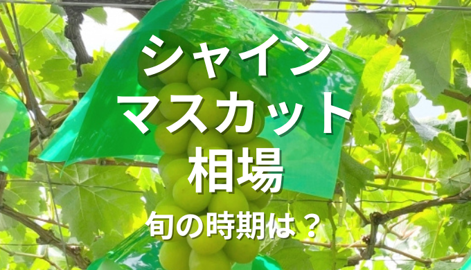 シャインマスカット 相場 2024を徹底解説！旬の時期に狙うべき価格帯とは？ | blog