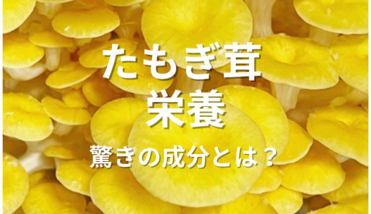 たもぎ茸栄養の秘密！健康を支える驚きの成分とは？