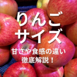 りんごサイズ